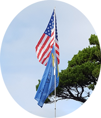 Ham Flag